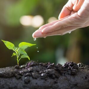 ENGENHARIA AMBIENTAL
