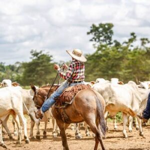 MESTRADO EM CIÊNCIAS EM AGRONEGÓCIOS COM ÊNFASE EM PRODUÇÃO ANIMAL